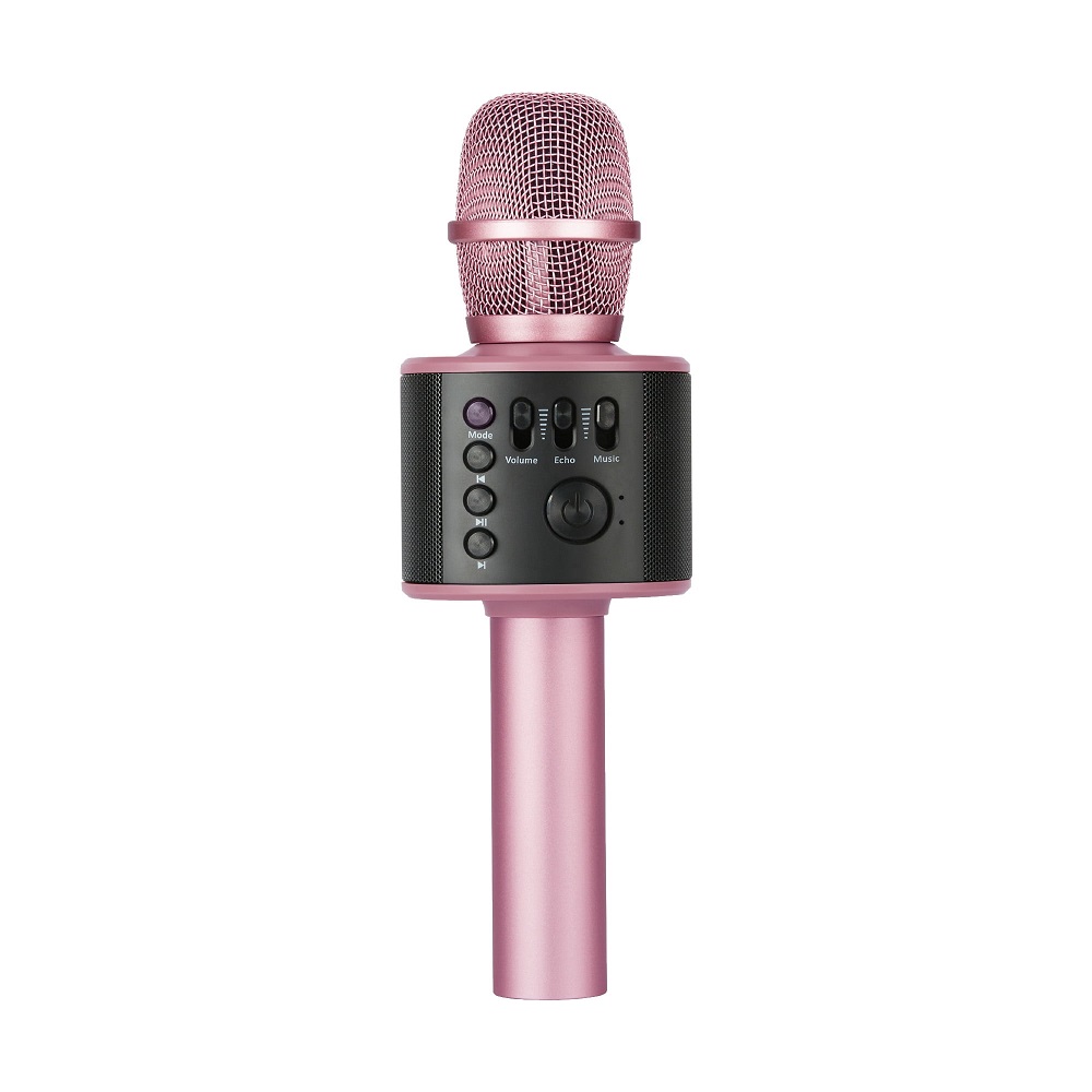 karaoke mic