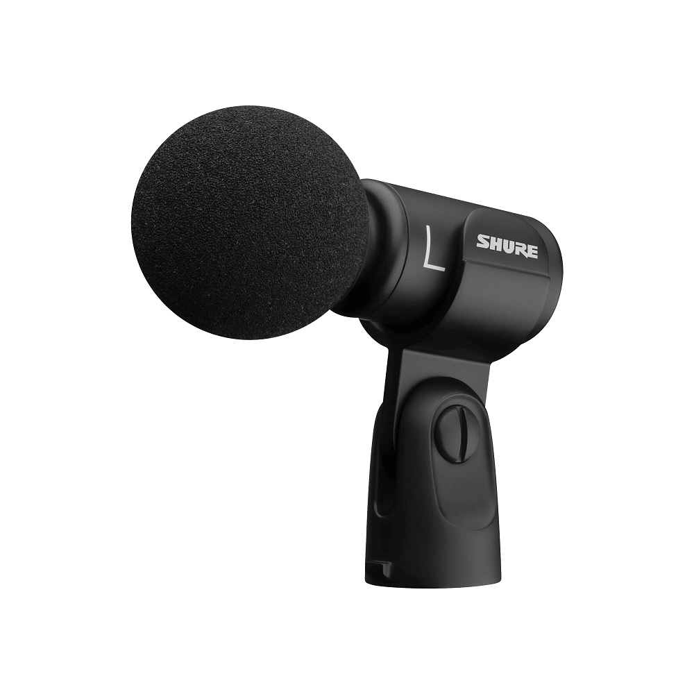 best mic