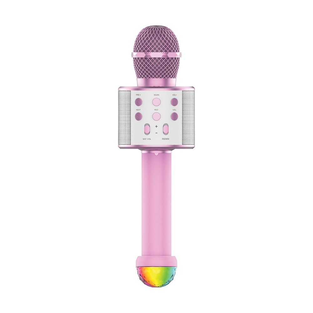 karaoke mic