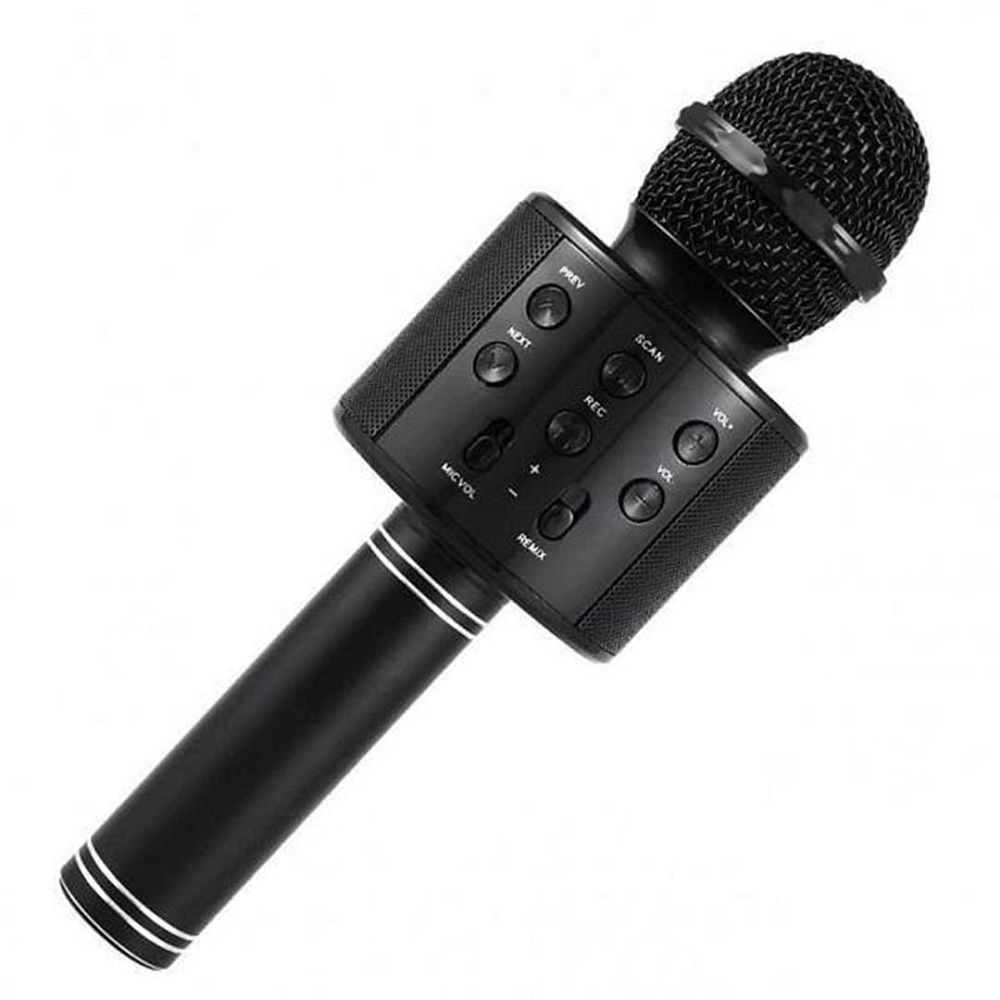 karaoke mic