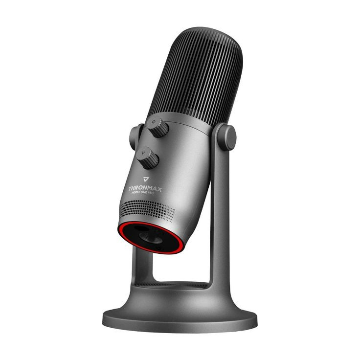 Mic with stand