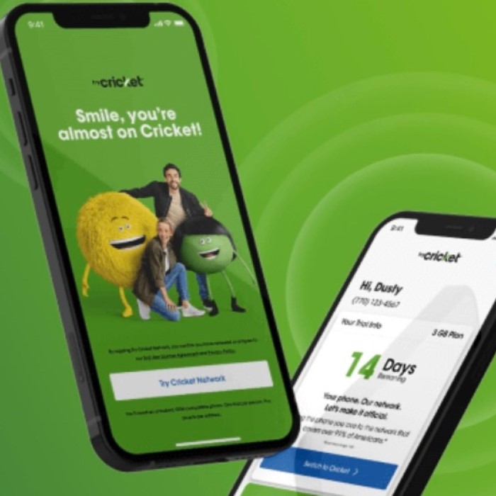 does cricket support esim