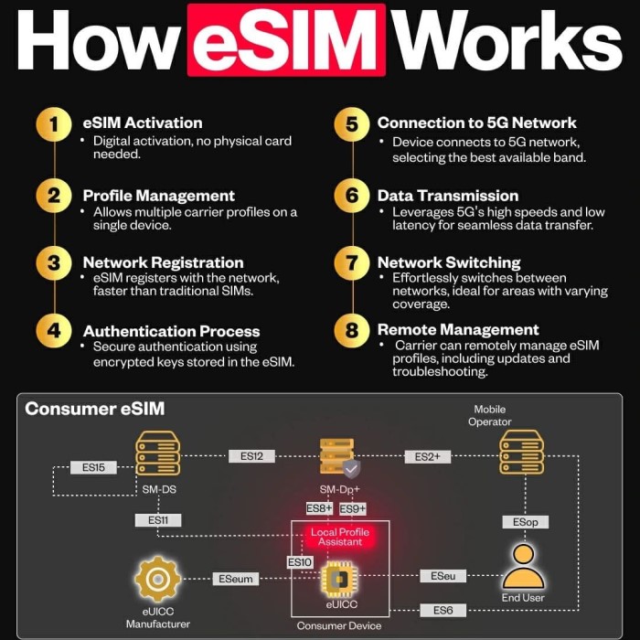 how does esim work