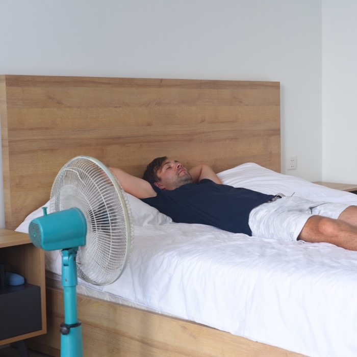 bed fan