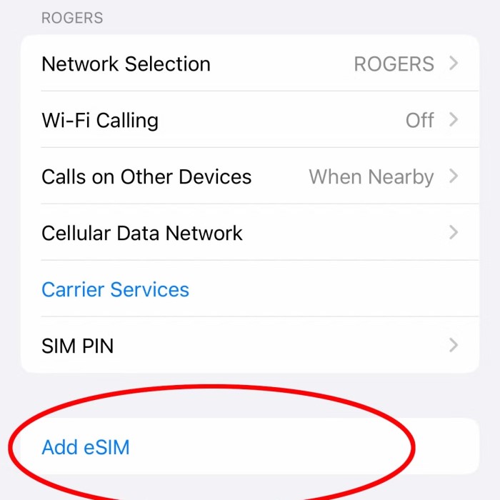 how to transfer esim from one iphone to another