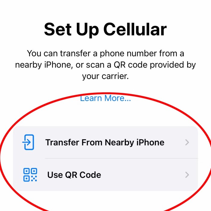 how to transfer esim from one iphone to another
