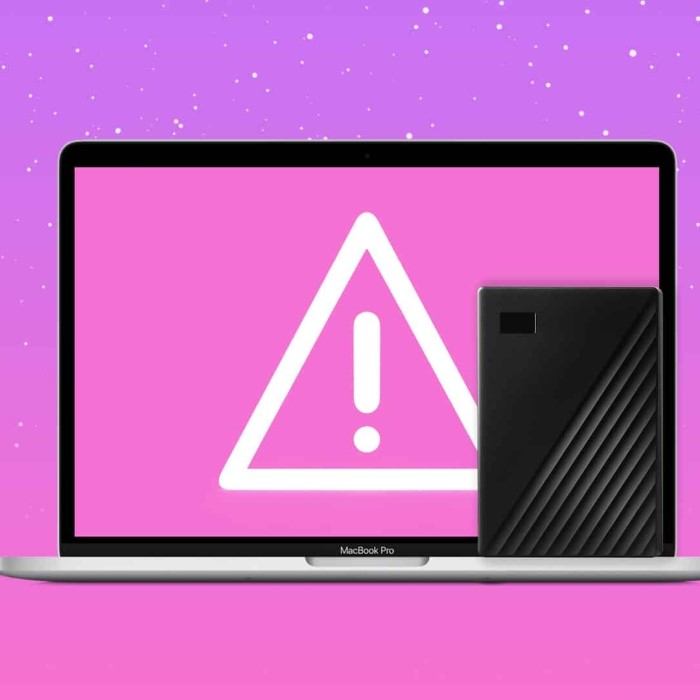 why is my hard drive not showing up mac