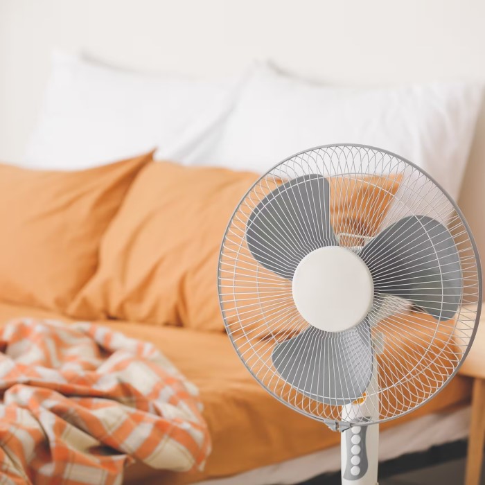 bed fan