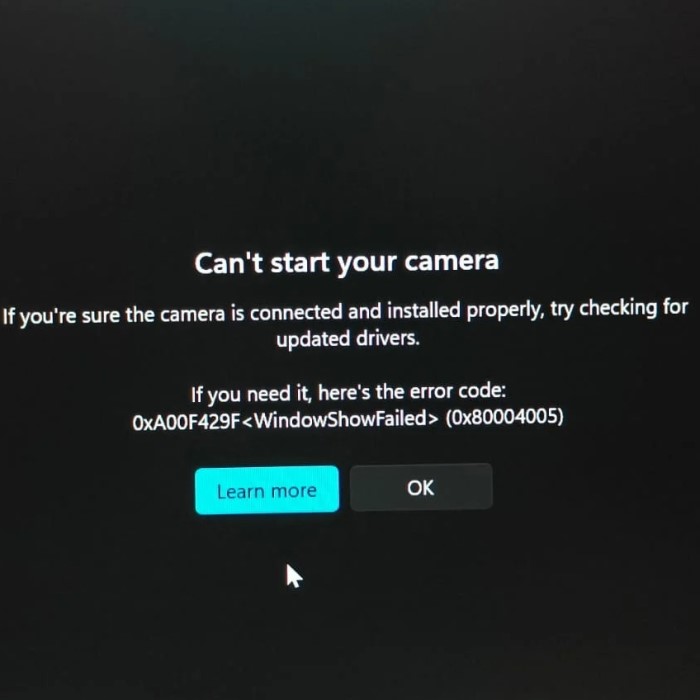 why is my webcam not working