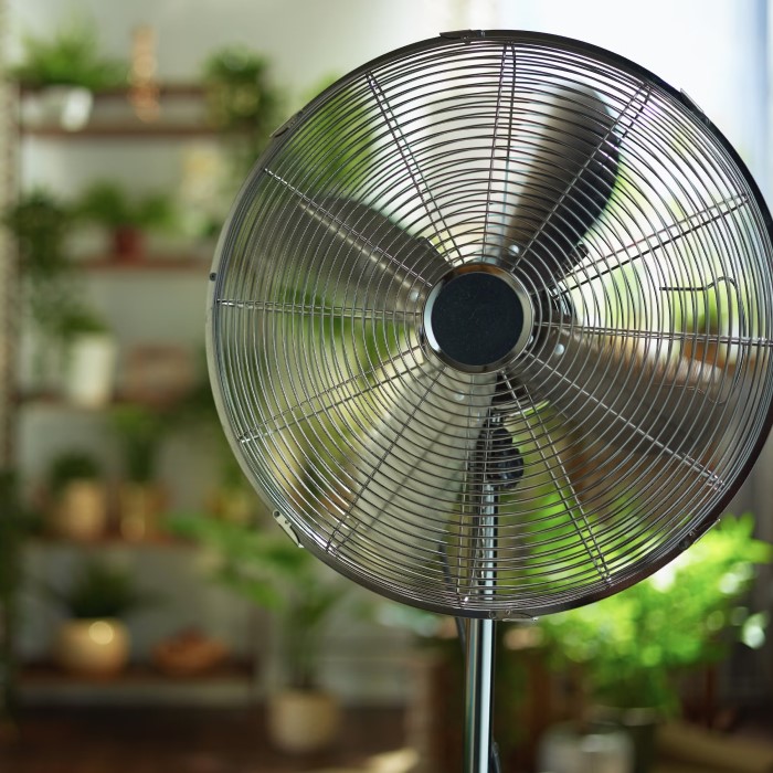 ac fan