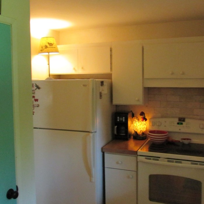 refrigerator light bulb