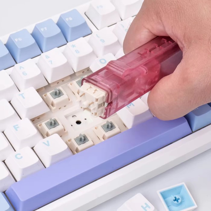 how to remove keyboard switches