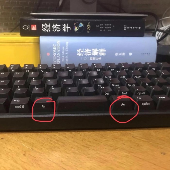 what is fn on keyboard