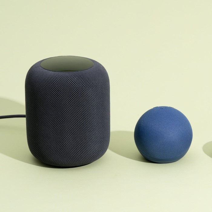 best smart speaker