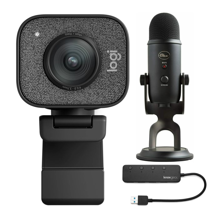 webcam with mic