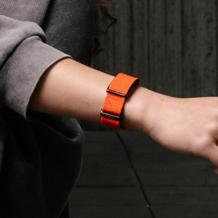 bellabeat leaf fitness tracker