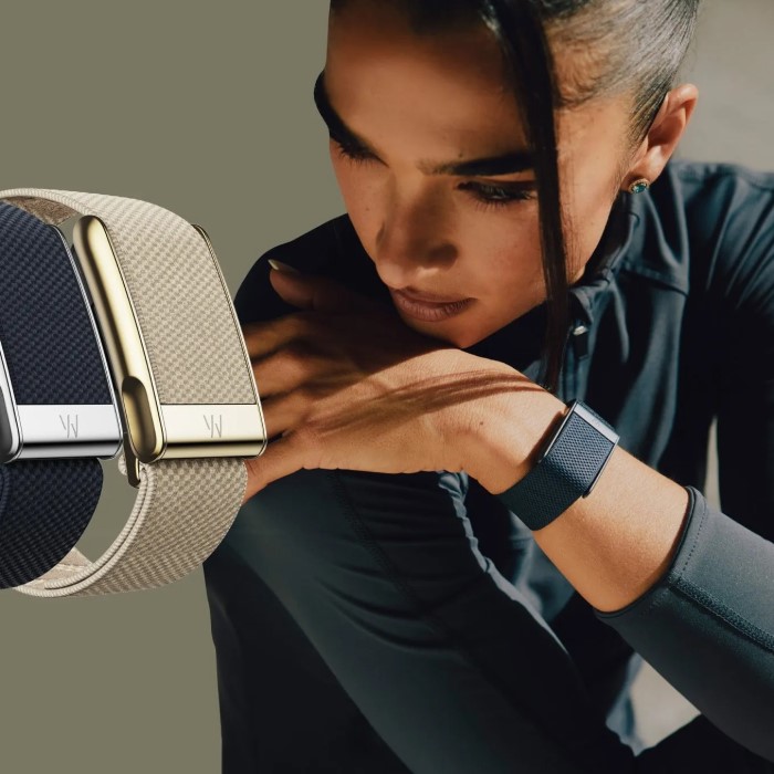 bellabeat leaf fitness tracker