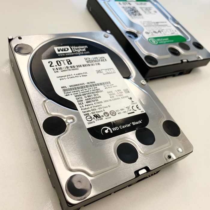 how long does a hard drive last