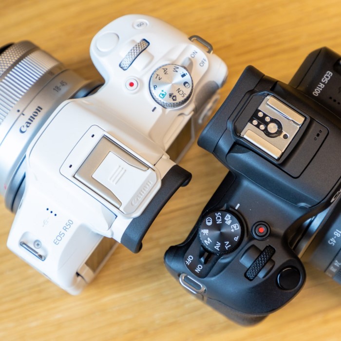 canon eos r100 review