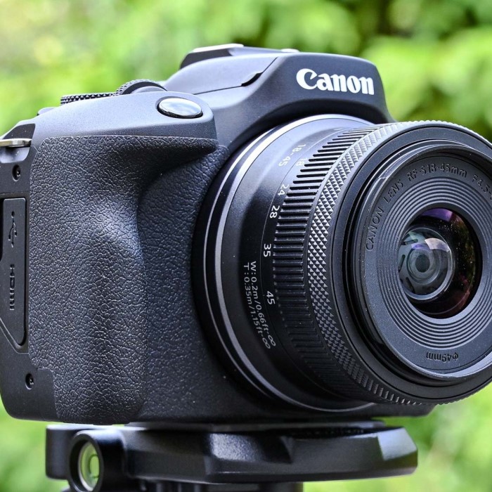 canon eos r100 review