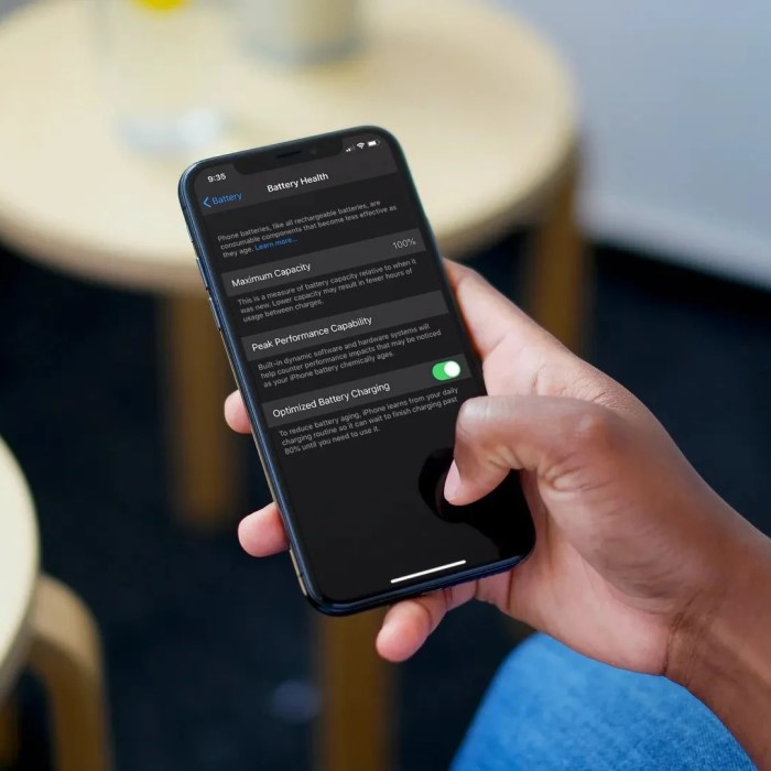 battery health check iphone